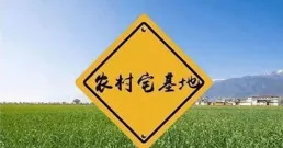 農民「哄搶」屢禁不止！種植戶血本無歸，這四大病根不除難根治