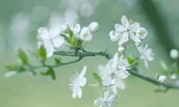 好漂亮的十句話，人生就該這麽活