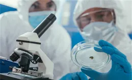 一線調研丨小家電隱形冠軍的出海底氣