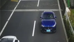 杭州的知了太笨了！有人開車兩三百公裏來杭州抓知了吃