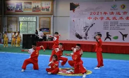 武韻飛揚，合肥學子閃耀省中學生武術比賽賽場！