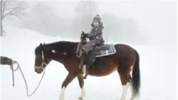 一只長得很像「國民明星」的狗子，碰瓷了灰太狼…