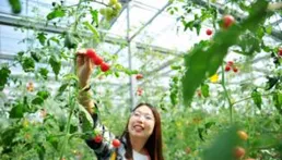 「山東邂逅美」攝影大賽｜泰安市花初綻放