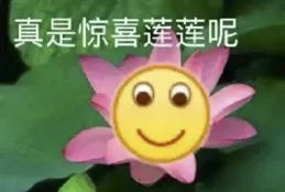 太熱了！暑假去哪裏避暑！好玩好吃好住又涼快的地方！