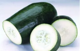 夏天要多吃冬瓜，教你神仙吃法，一口一個，鮮美可口，營養又好吃