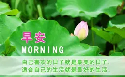 早安心語：願你的努力都能收獲成功，夢想一步步靠近