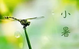 二十四節氣 小暑｜小暑金將伏 微涼麥正秋